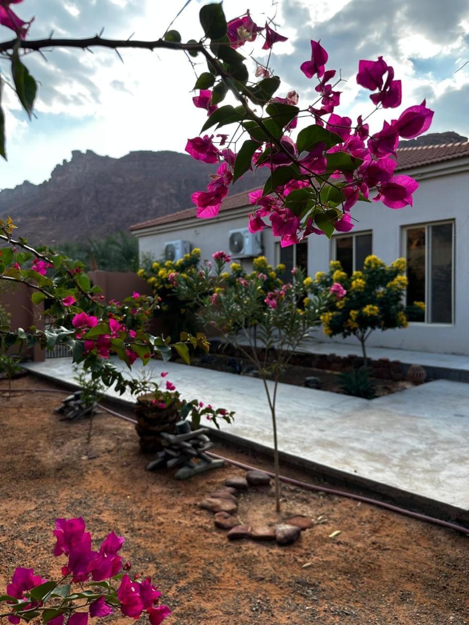 فيلا بمزرعة Al-Ula Extérieur photo